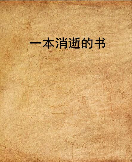 一本消逝的書