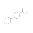 6-嗎啉煙酸甲酯