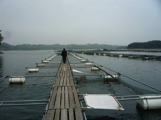 賽城湖水產養殖場