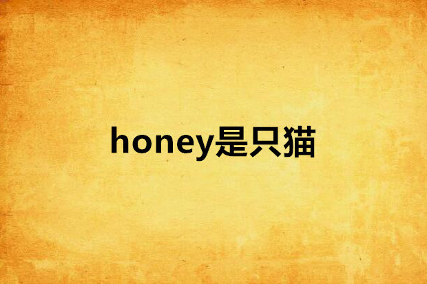 honey是只貓