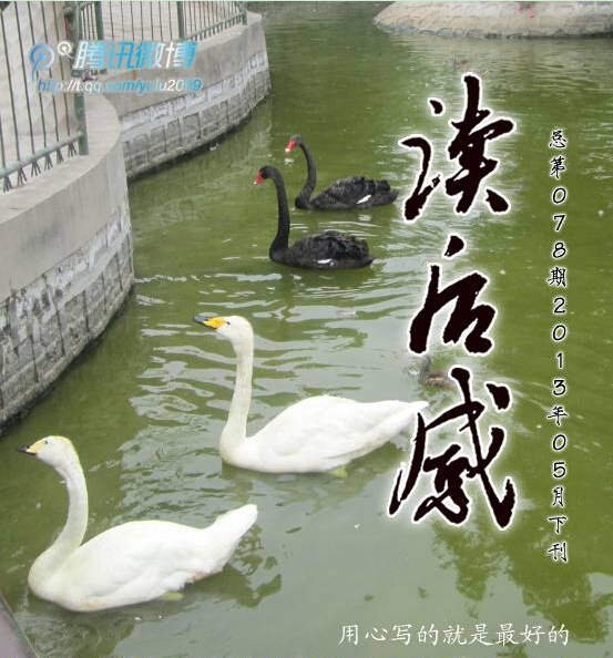 讀後感(電子半月刊雜誌)