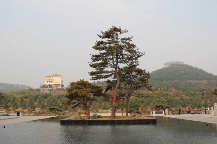 鳳凰山(山東省青島市鳳凰山)