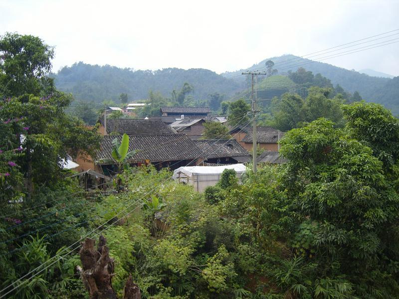 大水自然村(雲南省昭通威信縣扎西鎮河口村委大水自然村)