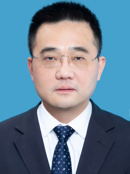 嚴斌(重慶市沙坪壩區交通局黨委副書記、副局長)