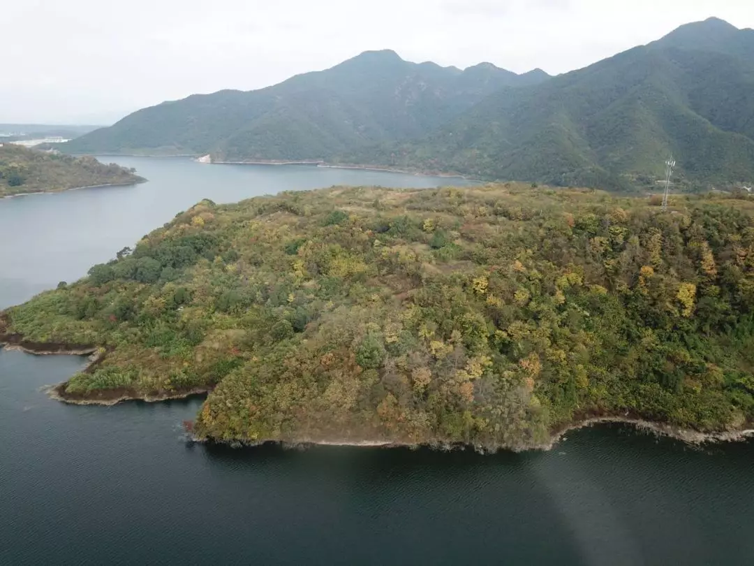 黃澤江濕地公園