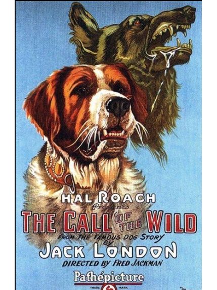 Call of the Wild(美國1923年Fred Jackman執導的電影)