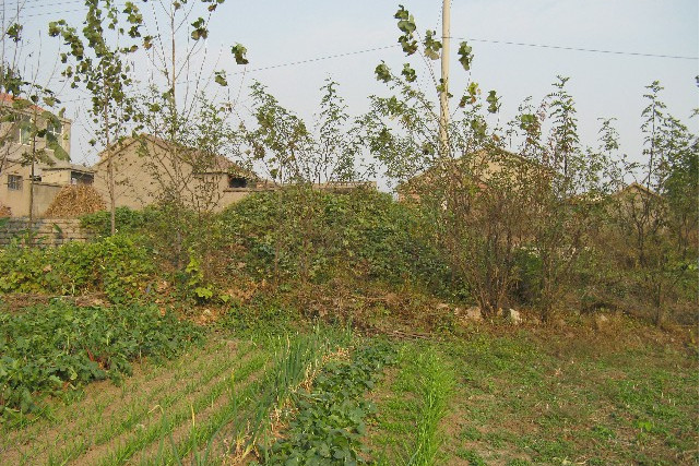 泉旺頭遺址