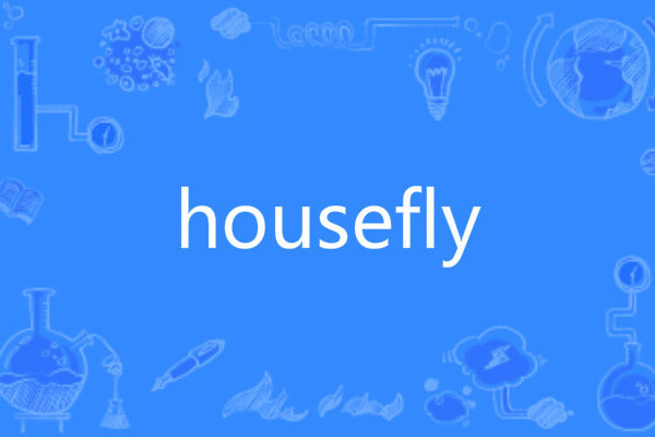 housefly