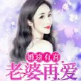 婚途有喜：老婆再愛我一次