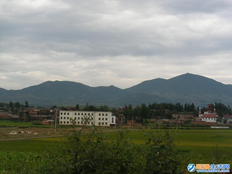 岩洞村(雲南魯甸縣文屏鎮下轄村)