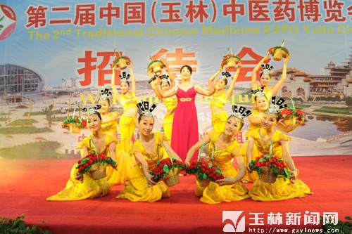 中國(玉林)中醫藥博覽會招待會文藝演出