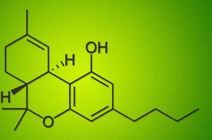 屈大麻酚