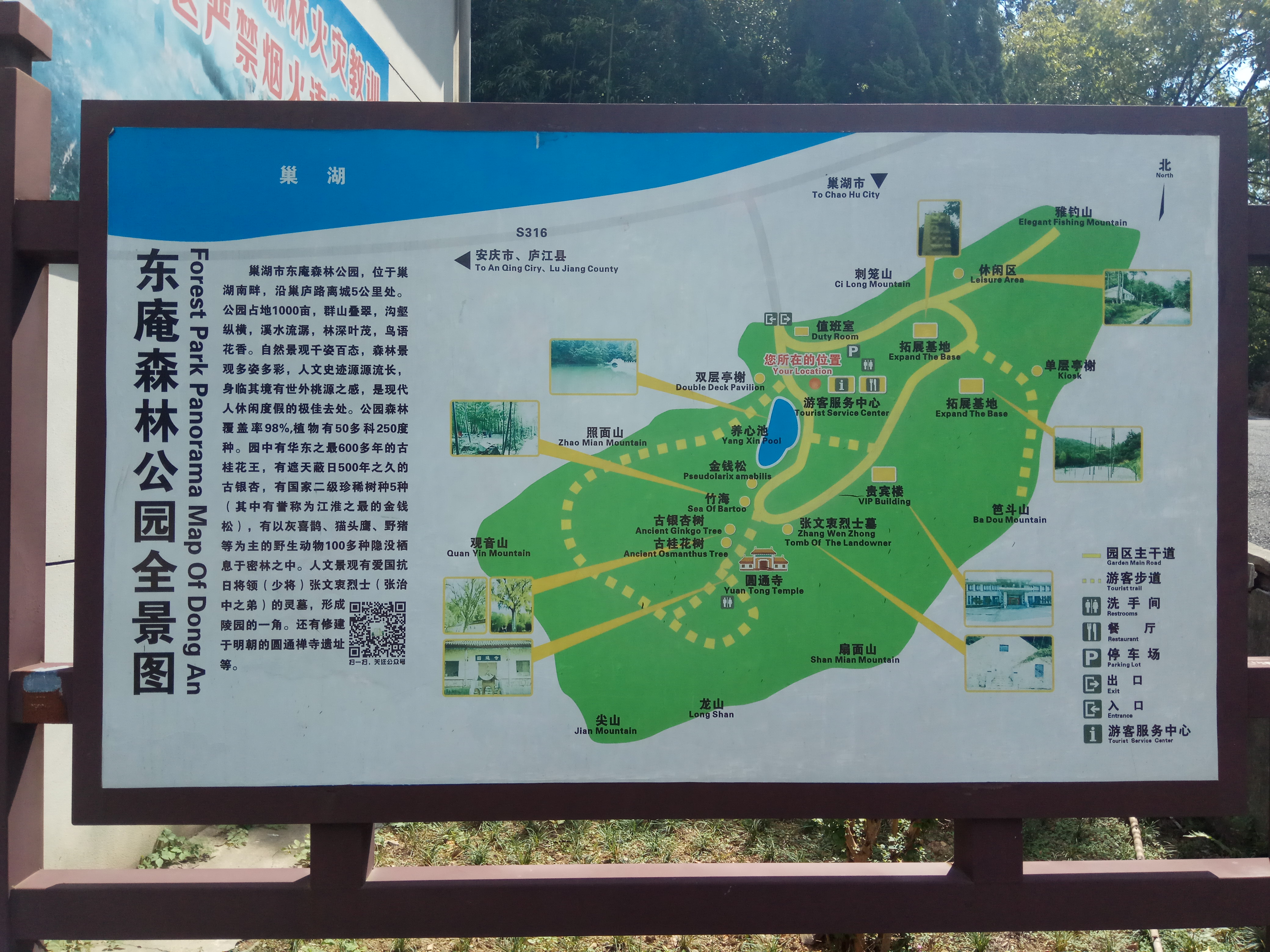 巢湖東庵森林公園平面圖