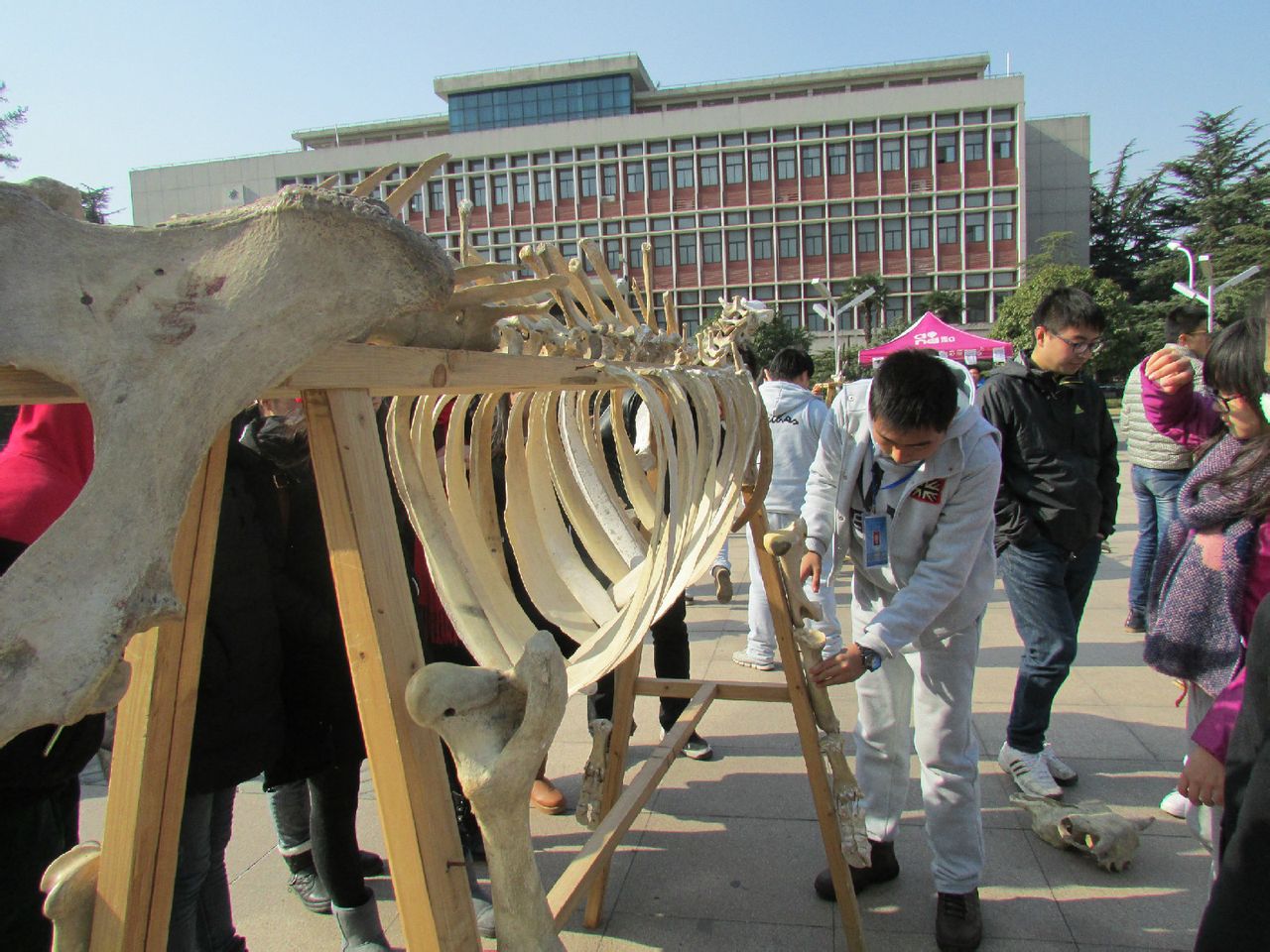 華中農業大學動物科技協會