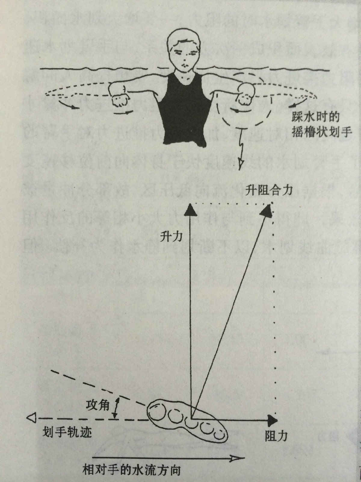 游泳推進力