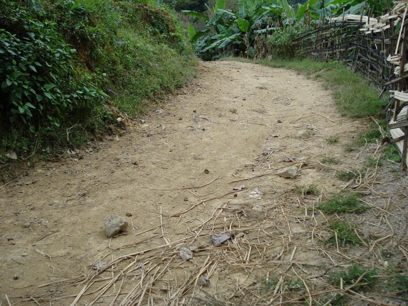 中寨山自然村-進村道路