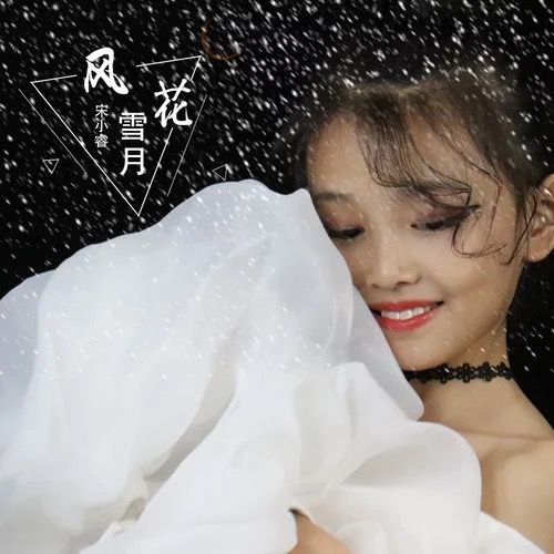 風花雪月(2019年宋小睿演唱歌曲)