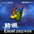 精通Microsoft Excel 2002中文版