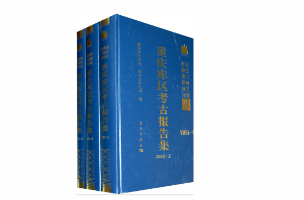 重慶庫區考古報告集2002卷