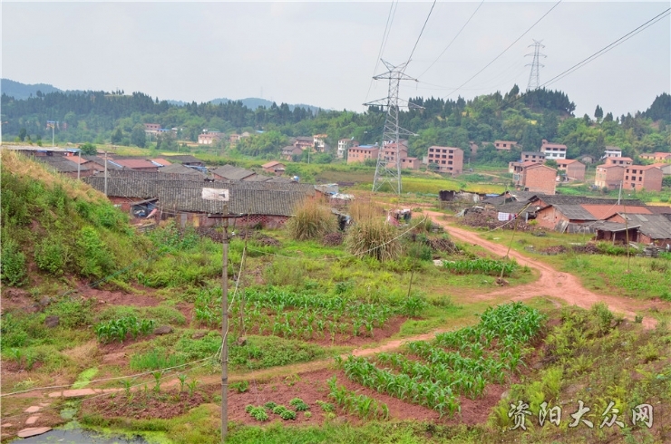 秀才村