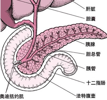 胰體癌