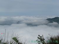 楊岐山風景名勝區(楊岐山風景區)