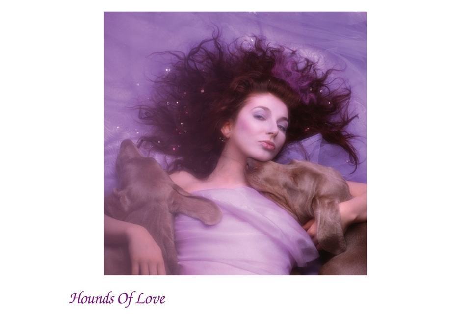 Hounds of Love(1985年凱特·布希演唱的歌曲)