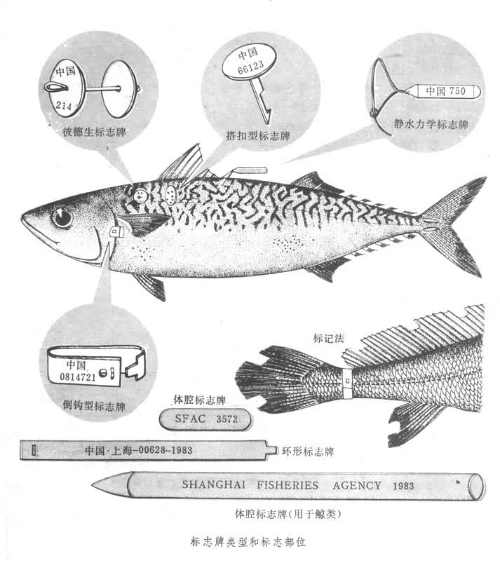 標誌放流