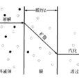 溶解擴散模型