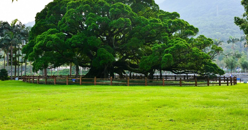 古榕公園(福建省廈門市古榕公園)