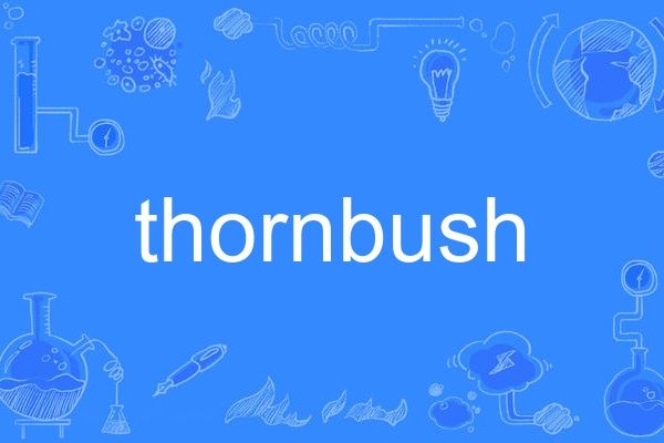 thornbush