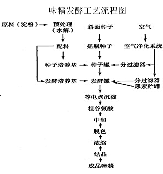 味素發酵工藝生產流程圖