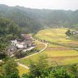 平富村(廣東省韶關樂昌市廊田鎮下轄村)