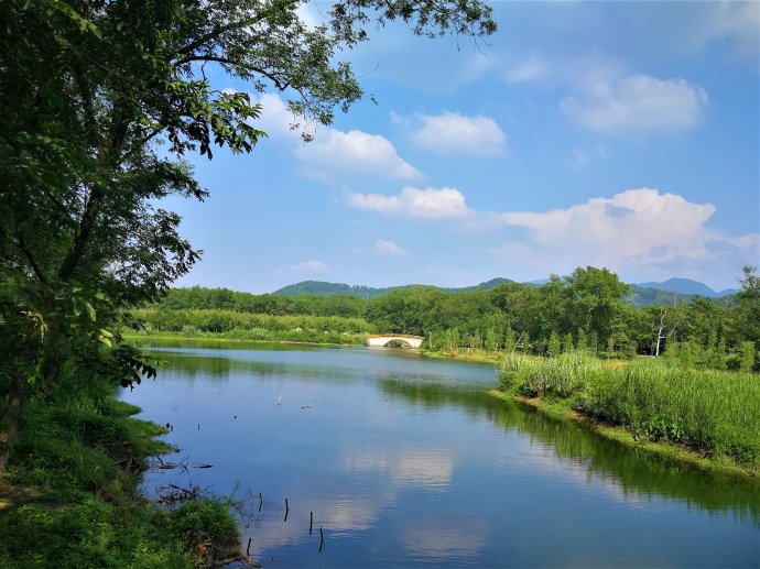 浙江麗水九龍國家濕地公園