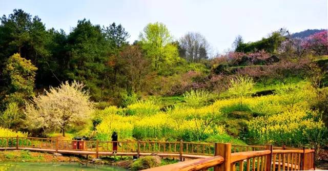 沼山森林公園