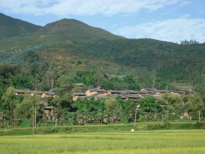 謝家嘴村(雲南省楚雄市東瓜鎮桃園村委會謝家嘴村)