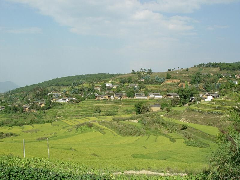 大坡村(貴州省黔南惠水縣和平鎮)