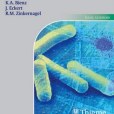 Color Atlas of Medical Microbiology