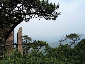 澡溪鄉九仙山風景