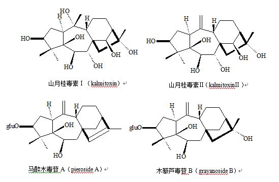 美麗馬醉木