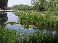 江水泉公園