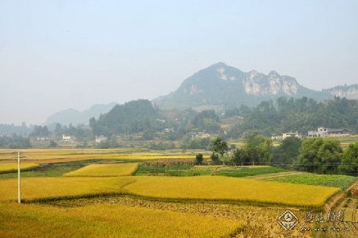 丁寨村(河南省淮濱縣張里鄉丁寨村)