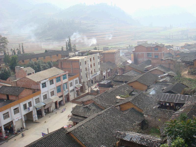 大栗樹村(雲南文山州馬關縣大栗樹鄉下轄村)