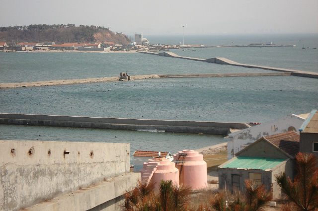 崆峒島刺參