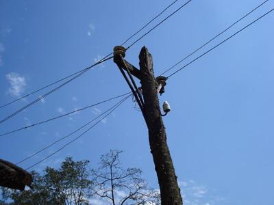 上指甲啦村