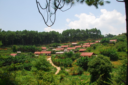 大文村(廣西玉林市興業縣蒲塘鎮大文村)