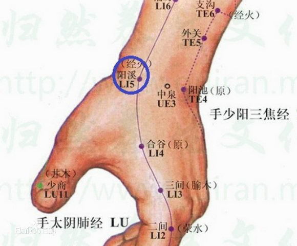 鼻咽窩