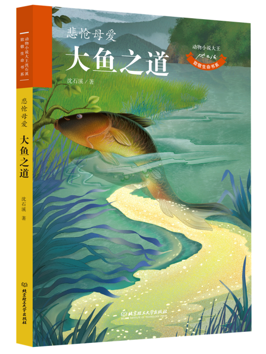 動物小說大王沈石溪·致敬生命書系：大魚之道