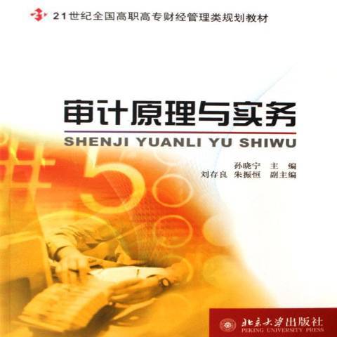 審計原理與實務(2006年北京大學出版社出版的圖書)