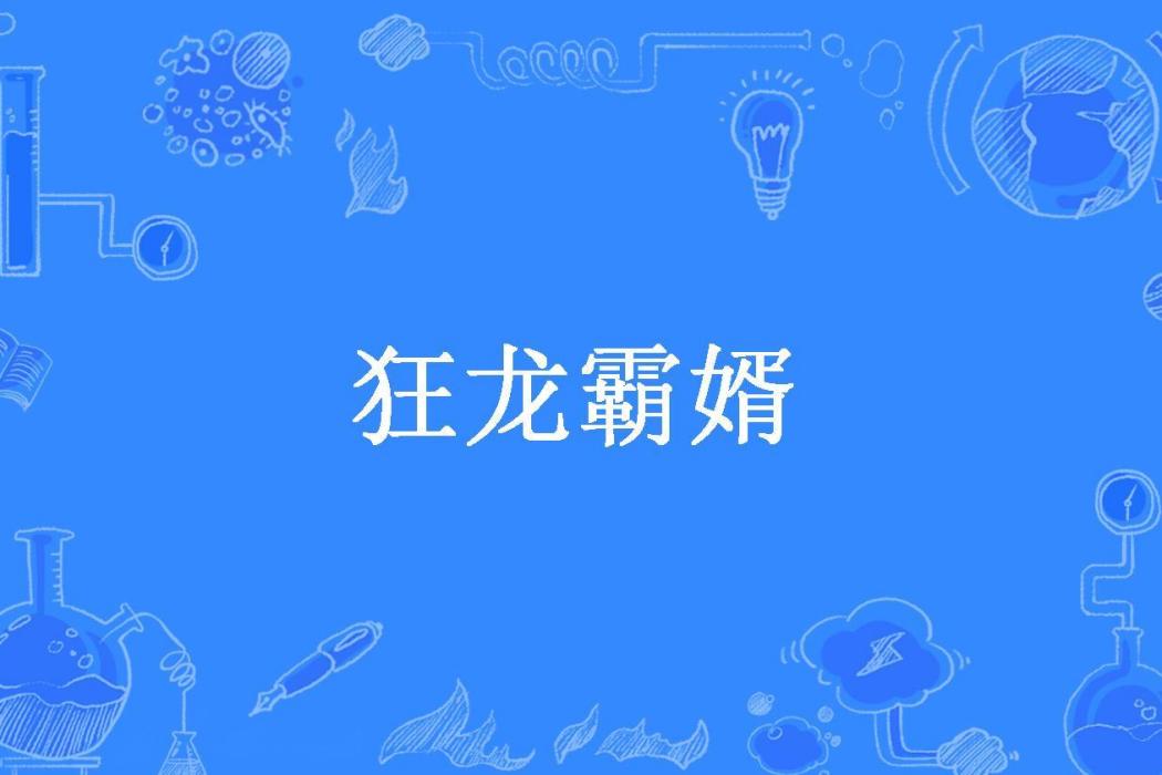 狂龍霸婿(可樂加水所著小說)